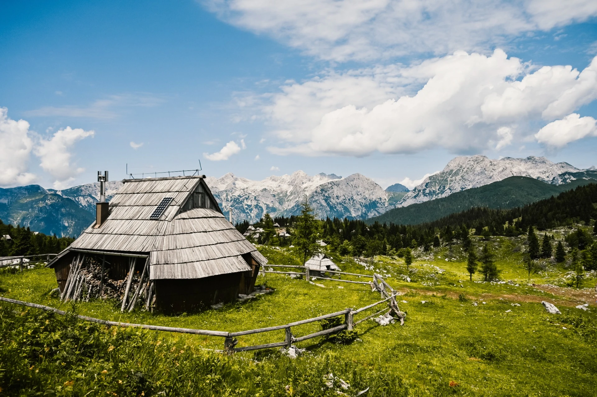 iStock-1313513973